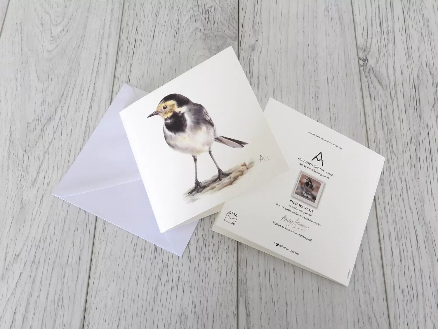 Pied Wagtail Greetings Card and Envelope
